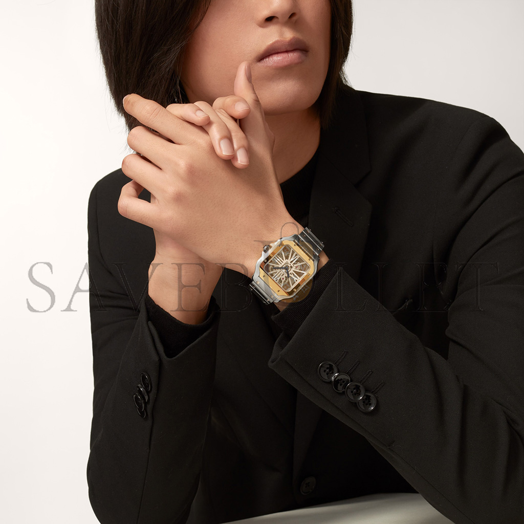 Ca*t*er santos de skeleton watch whsa0019